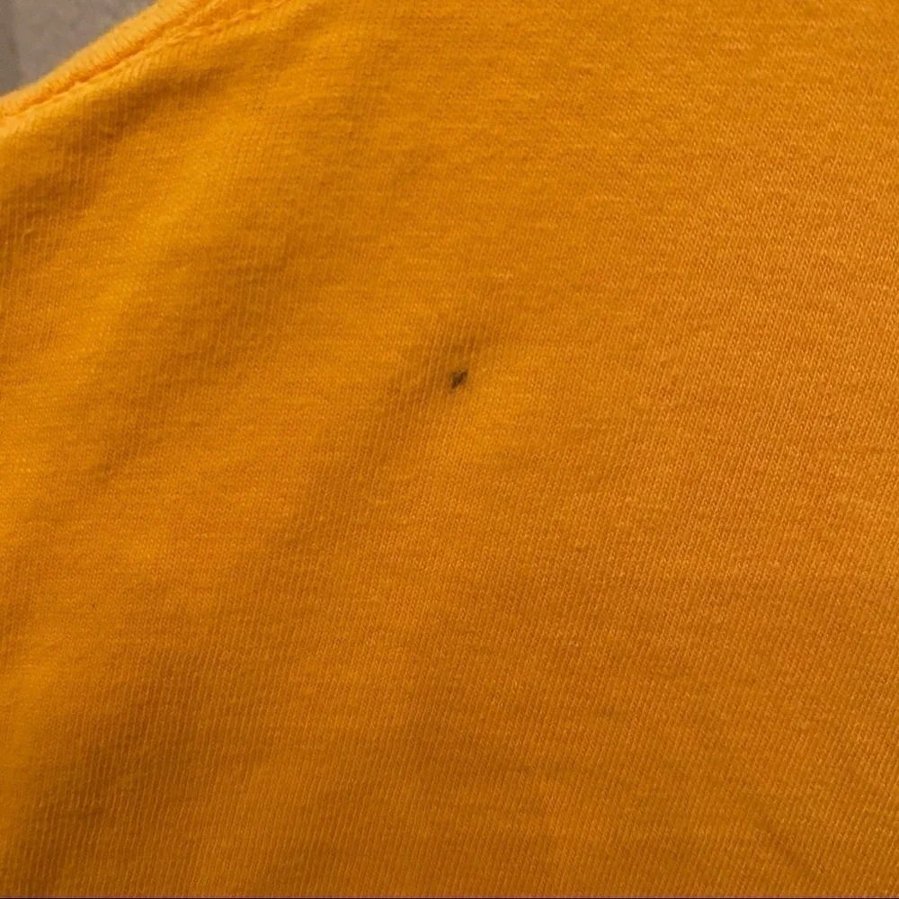 HARLEY-DAVIDSON 2009 Graphic Black Widow Florida Yellow T-Shirt Size Medium